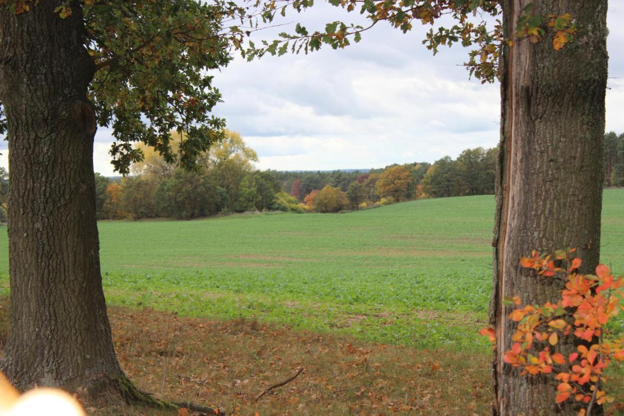Gospodarstwo Agroturystyczne Agroletnica Świdnica Esterno foto