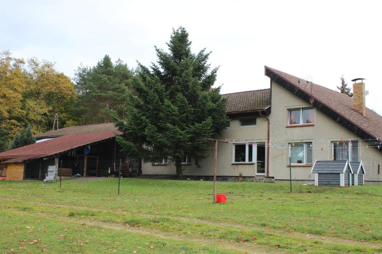 Gospodarstwo Agroturystyczne Agroletnica Świdnica Esterno foto