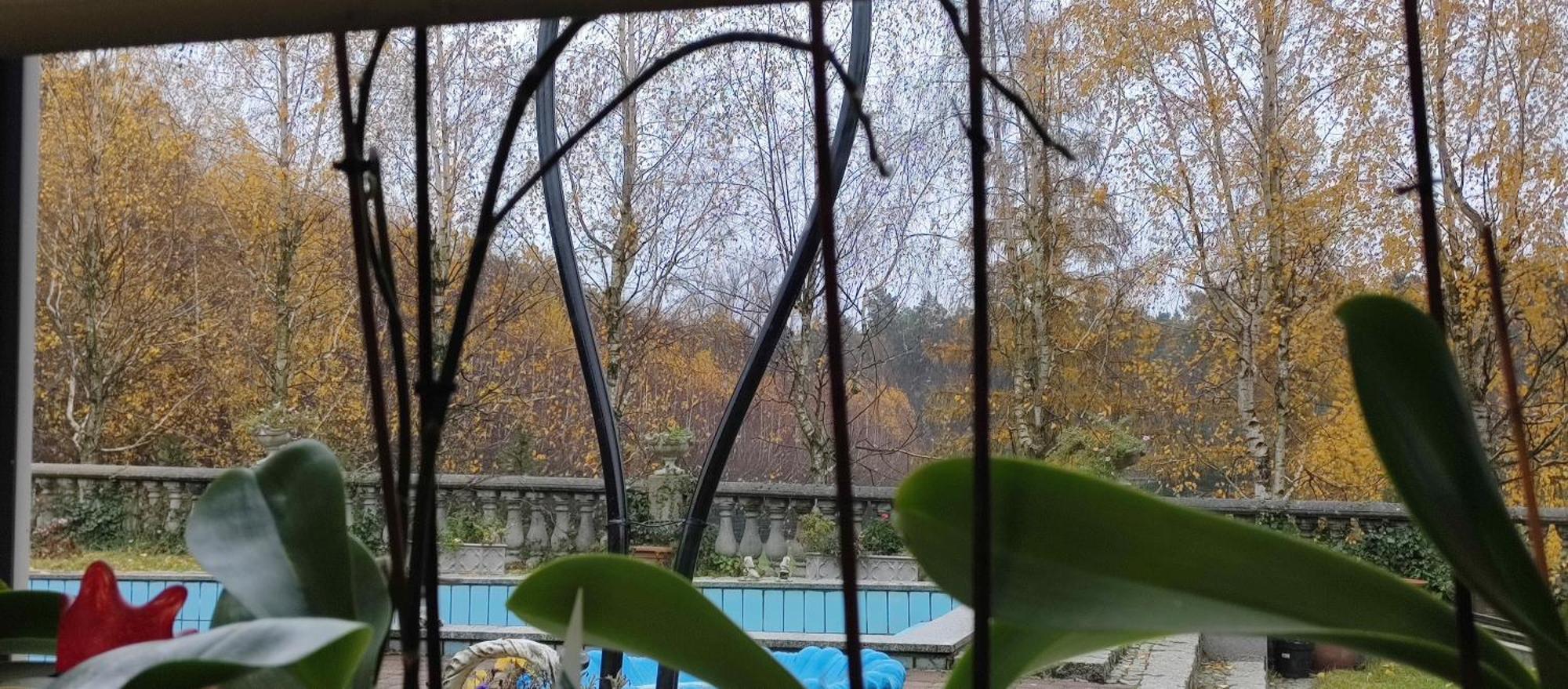 Gospodarstwo Agroturystyczne Agroletnica Świdnica Esterno foto